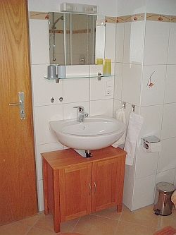 Ferienwohnung mit Terrasse - Das Badezimmer