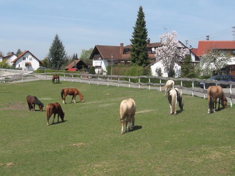 Ferienwohnung mit Terrasse - Die Terrasse