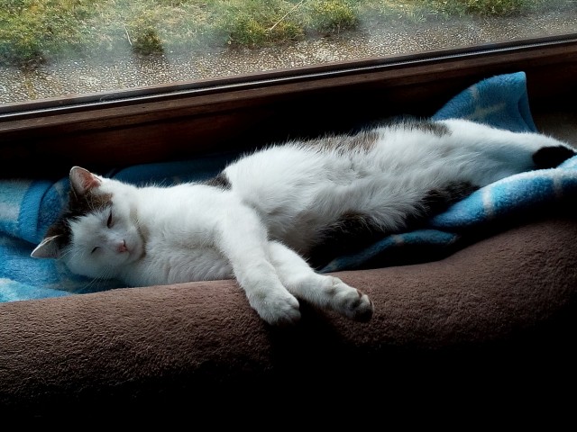 Unsere Micky.