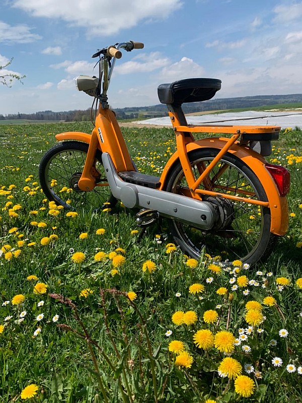 Ciao-Fahrzeug