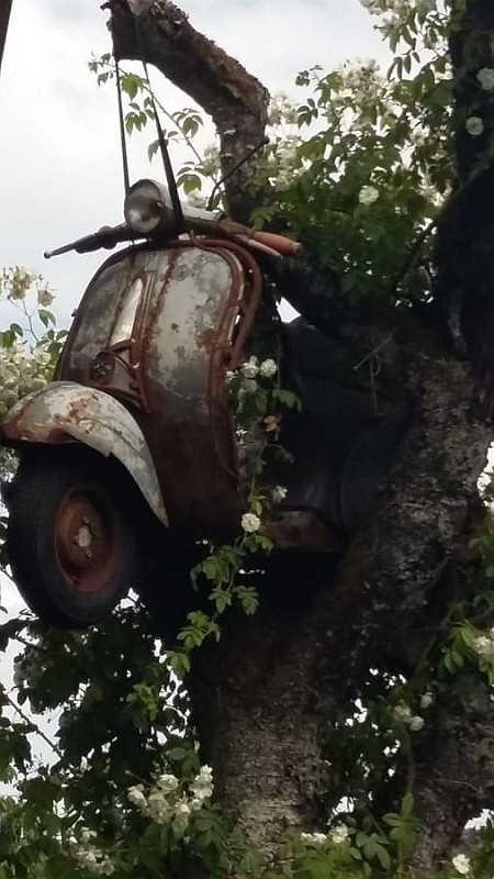 Bild-Vespa
