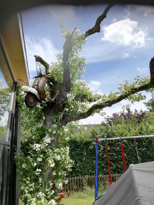 Bild-Vespa