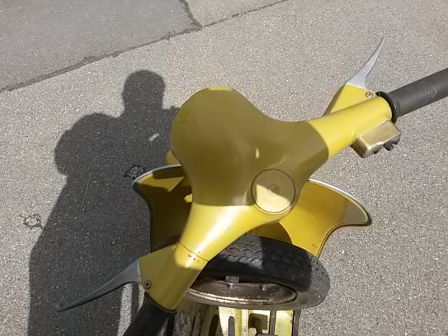 v50_bj1975_zederngruen